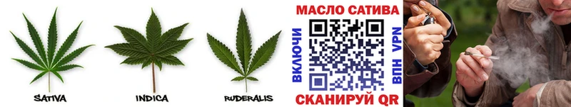 Дистиллят ТГК THC oil  Судак 