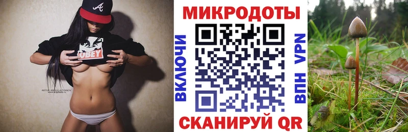 цены наркотик  Судак  Галлюциногенные грибы Magic Shrooms 